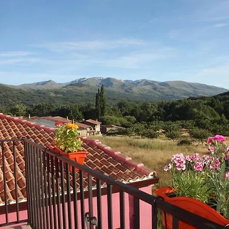 Rosa Magica Lancharejo