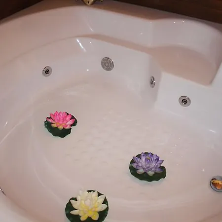 Rosa Magica Casa de Campo *