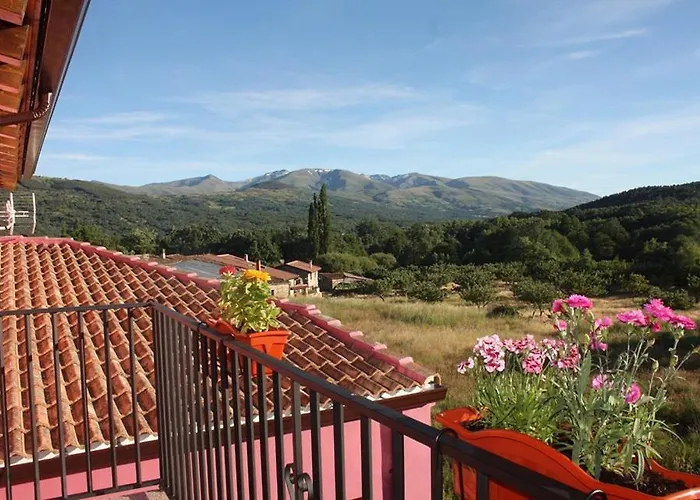 Rosa Magica Lancharejo