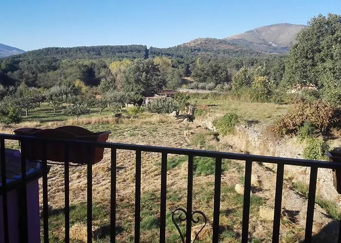 Landsted Rosa Magica Lancharejo