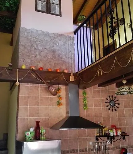 Rosa Magica Lancharejo