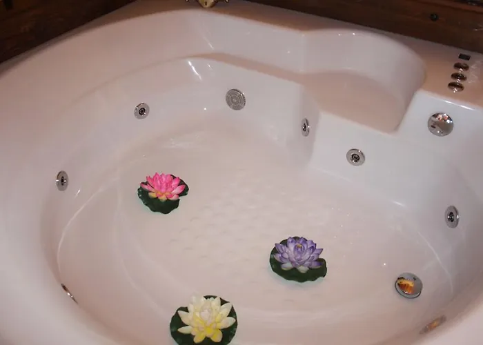 Rosa Magica Landsted *