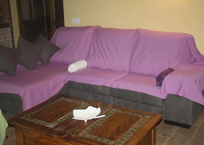 Rosa Magica Lancharejo